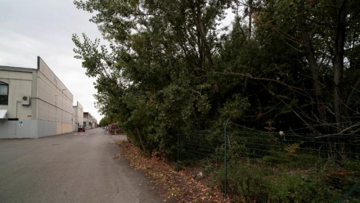 Ex Salamini, molestò una 14enne dopo la serata al pub: condannato