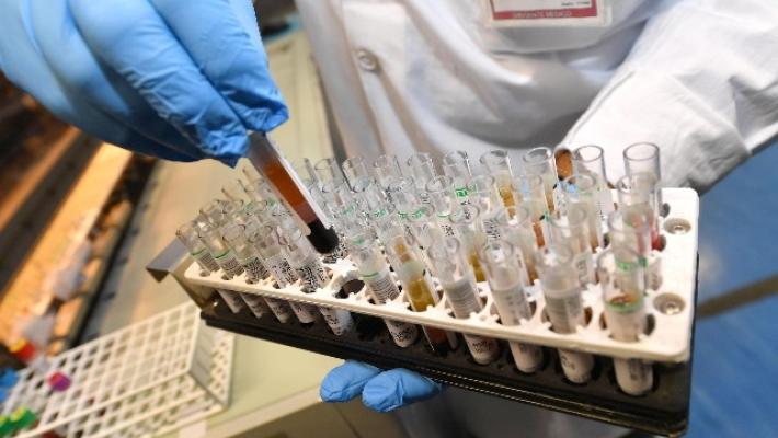 Scuola, la lettera di 250 scienziati: "Urgenti tamponi su vasta scala"