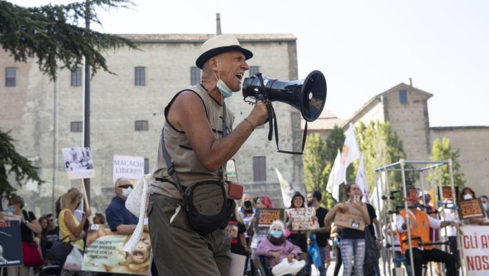 Vivisezione, nuova manifestazione degli animalisti