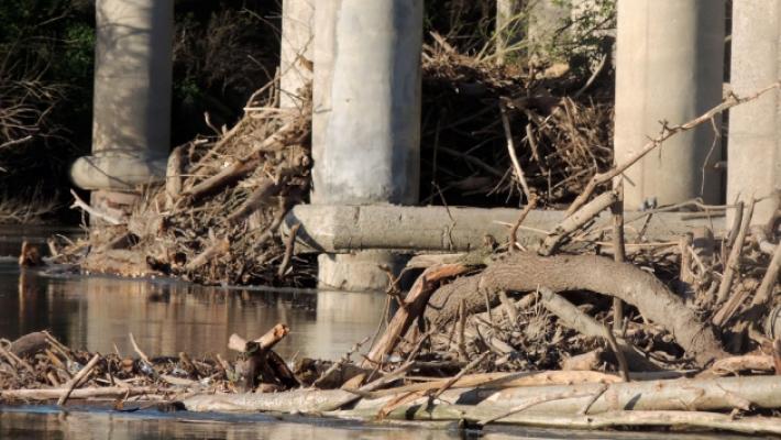 Montagne di legna lasciate dal Po contro le pile del ponte Verdi