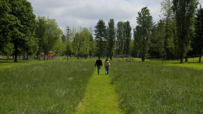 Il sindaco Guerra e l'assessore De Vanna: «Sfalci selettivi nelle aree verdi per salvaguardare la biodiversità»