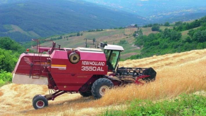 Rinnovato contratto operai agricoli, aumento del 4,7%