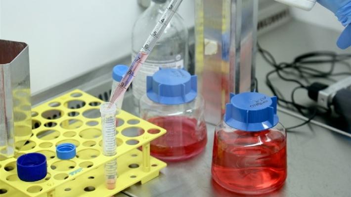 Covid, 60 casi nelle scuole in regione (dalla riapertura), Donini: "I protocolli funzionano"