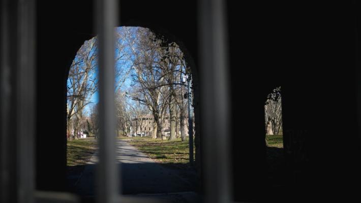 Albero caduto davanti a Lostello: chiusa la Cittadella