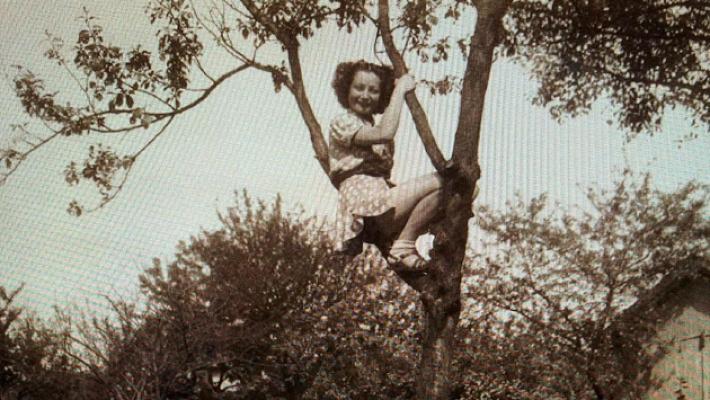 Quei ragazzi sugli alberi da frutto