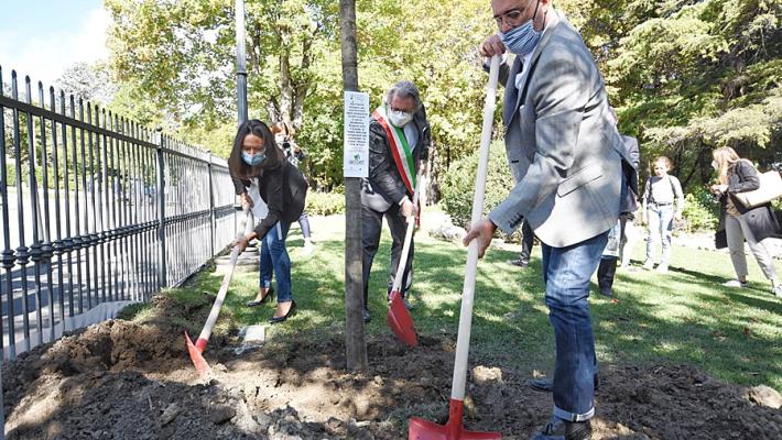 Dalla Regione un albero gratis per ogni abitante. Dal 1° ottobre si può andare a ritirarli nei vivai accreditati