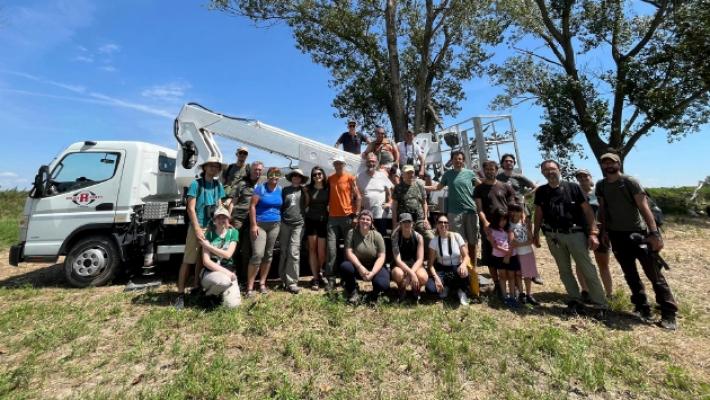 Lipu, il falco «piedi rossi» è tornato nella sua Bassa