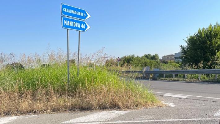 Interpellanza al sindaco di Colorno per gli sfalci alla rotatoria: «Ma la minoranza non sa che si trova a Torrile?»