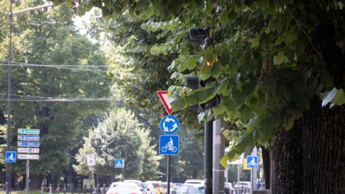 A Parma i semafori «giocano» a nascondino. Il verde incolto rende invisibili i segnali
