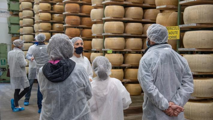 Caseifici aperti, un viaggio "dentro" una forma di Parmigiano Reggiano