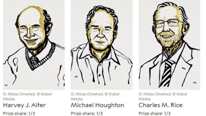 Il Nobel per la Medicina a tre virologi per studi sull'Epatite C