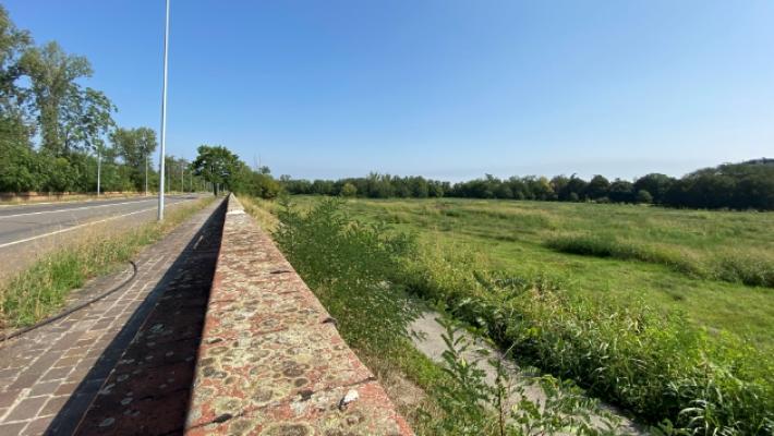 Le vittime del Covid? Non hanno ancora il «Bosco della Memoria»