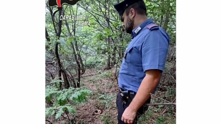 Il teschio nel bosco: la procura nomina un consulente. Si riaprono casi degli scomparsi