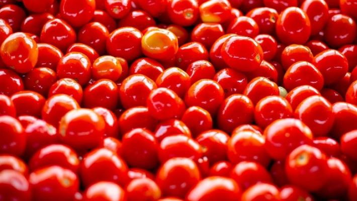 Rodolfi Mansueto capofila del progetto "Tomato blockchain"