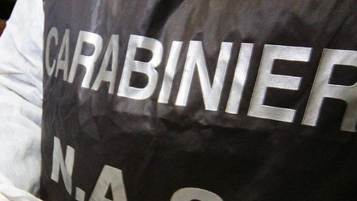 I Nas di Parma chiudono un centro estetico abusivo a Reggio Emilia