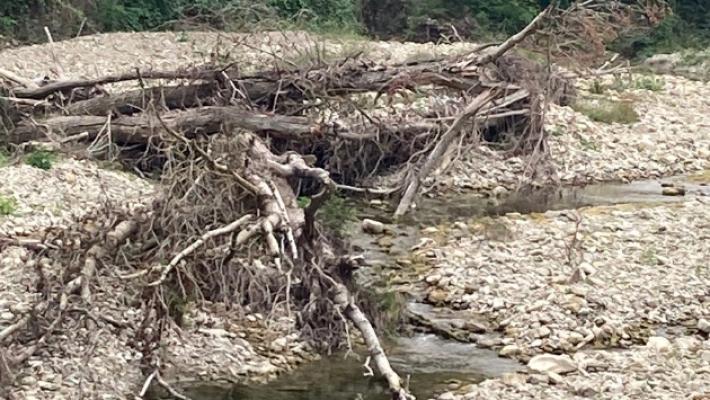 «Stirone, piante e rami sotto i ponti fanno paura»