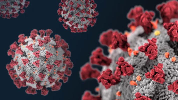 Corporativismi  e anacronismi  nel pieno della seconda ondata