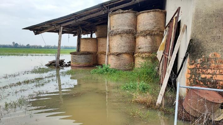 Le testimonianze: &laquo;Giorni terribili, allagamenti troppo frequenti&raquo;