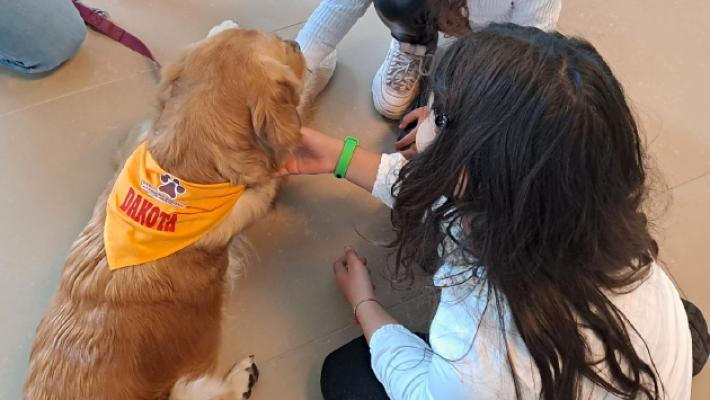 «Insieme a 6 zampe»: la Pet therapy in ospedale per migliorare la vita dei pazienti