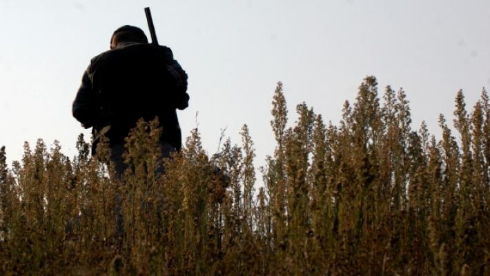 «Quella fucilata di un cacciatore lungo il greto poteva costarmi cara»