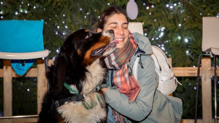 Cani e gatti in posa sotto l'albero: scatti d'amore e d'allegria