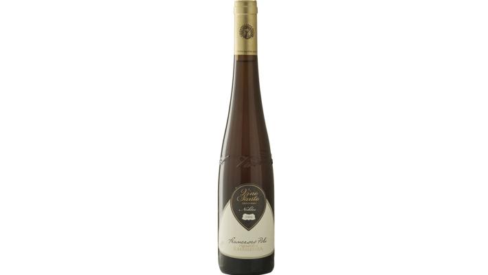 Brilla questo vino espressione di un territorio e di tanti sentimenti