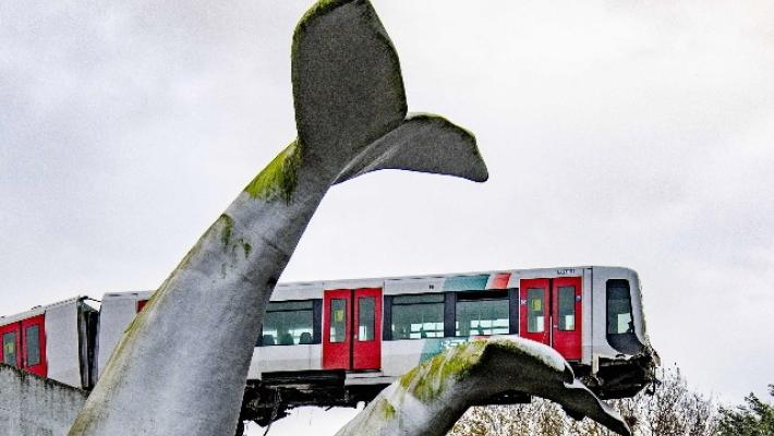 Rotterdam: la statua di una balena salva il metro che deraglia