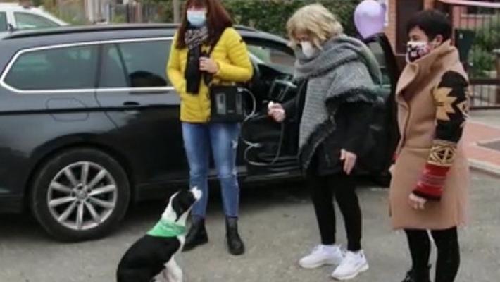 «Io, in guerra contro il Covid per otto mesi»