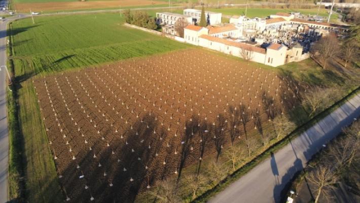 Traversetolo, nasce il bosco urbano con le piante salvambiente