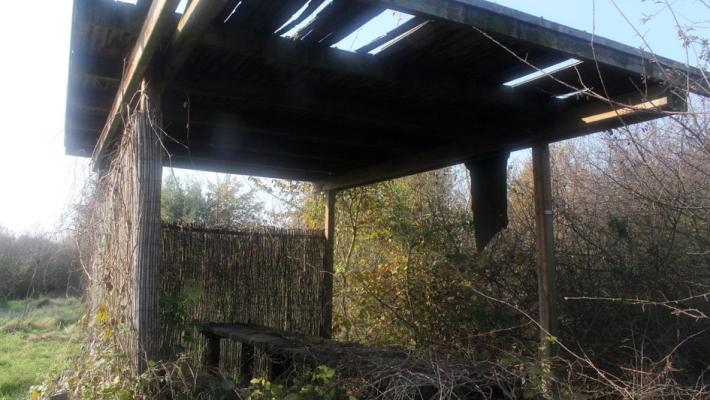 Zibello, l'oasi naturalistica «Le galline» è ridotta a una giungla