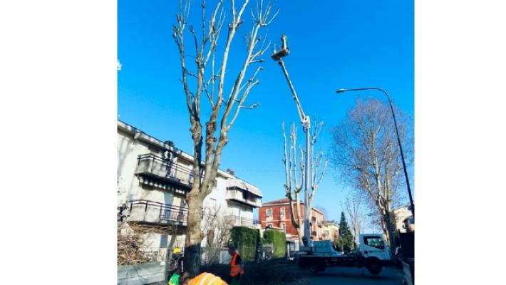 Potature a Fidenza, lavori in tutta la città