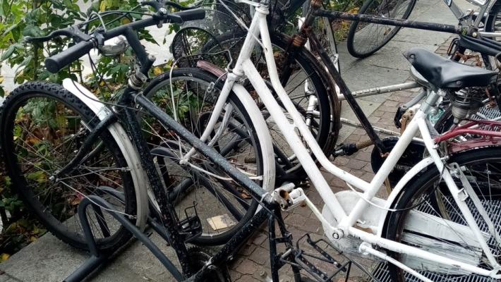 Ancora furti di bici: erano chiuse con catene