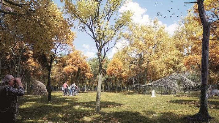 Bosco del Molino: la magia dei giorni insieme agli alberi