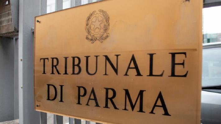 Aggredì due carabinieri, 21enne patteggia un anno