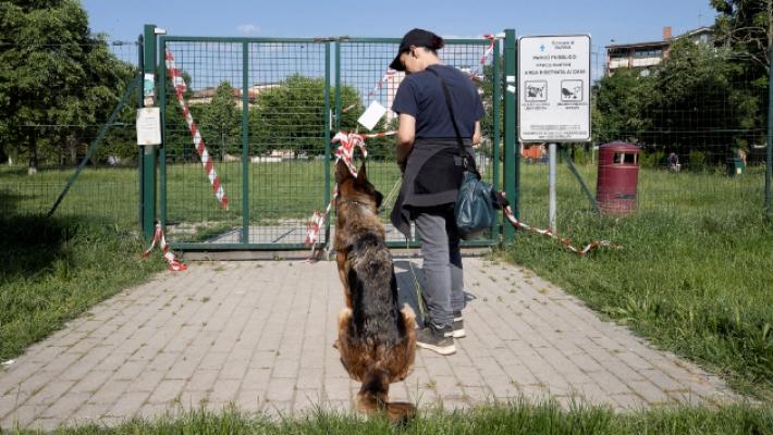Parco Martini, allarme polpette avvelenate