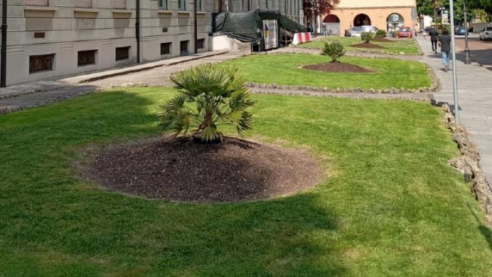 Affidata la manutenzione del verde pubblico