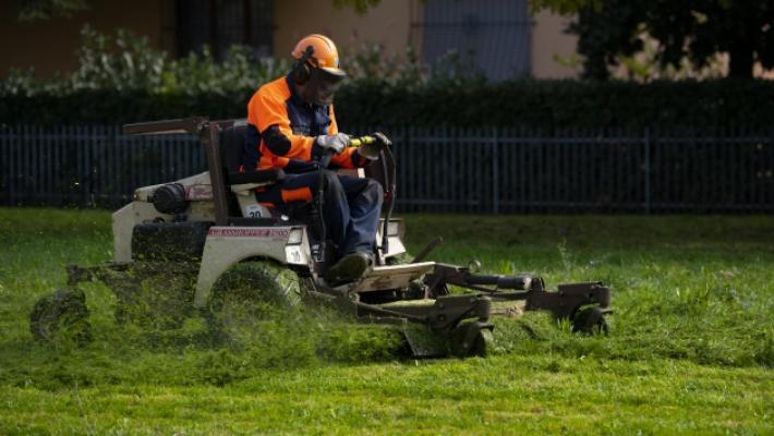 Aree verdi, il Comune corre ai ripari e aumenta gli sfalci. Guerra: «Attenti anche alla biodiversità»
