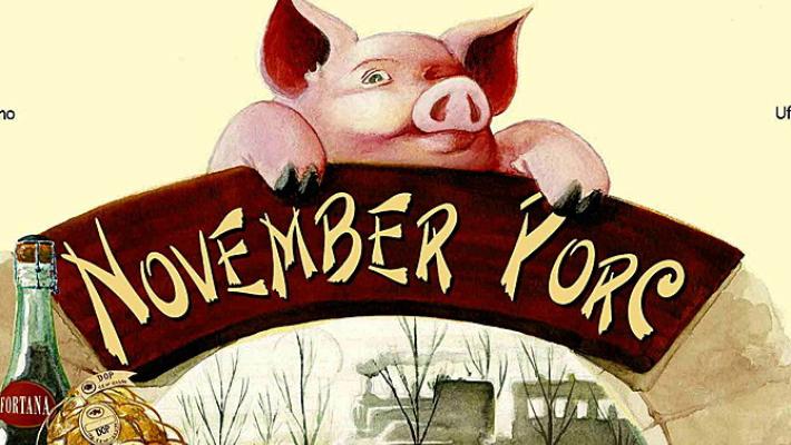 November Porc in tv