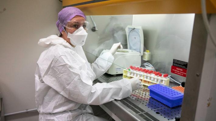 La task force di via Volturno che analizza oltre mille tamponi al giorno