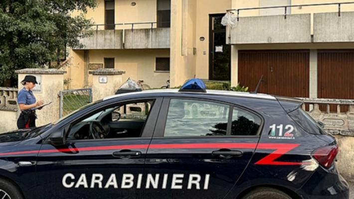 Donna uccisa a Zibello: in manette il figlio