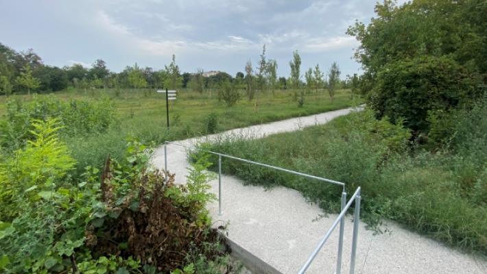 Un viaggio nei luoghi della Parma che cambia