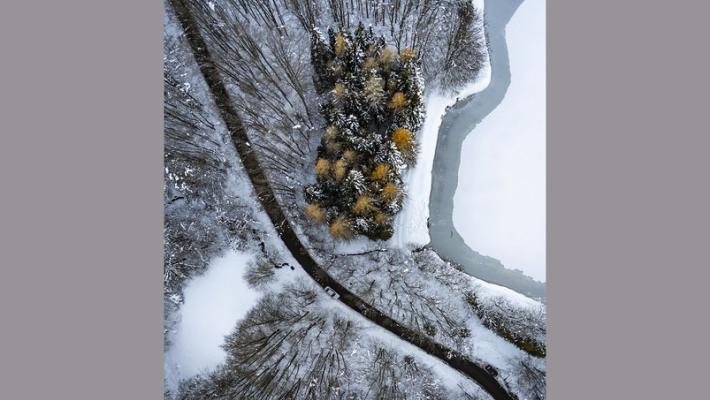 Schia come un quadro: la foto dall'alto