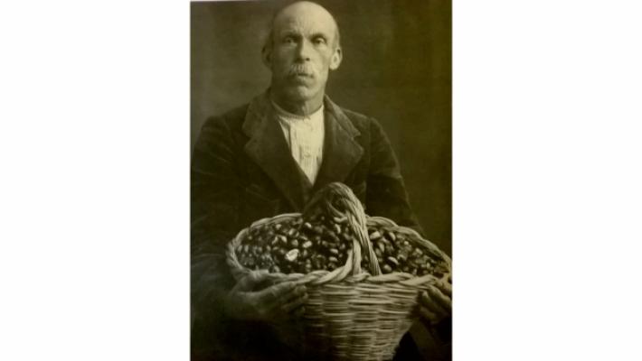 Autunno, Campora patria dei marroni