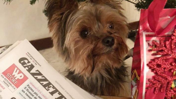 Buone Feste ai lettori della Gazzetta da Cesare!