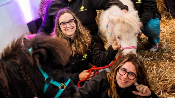 L'empatia degli animali? Una terapia. La fattoria di Rebecca sbarca a Verona