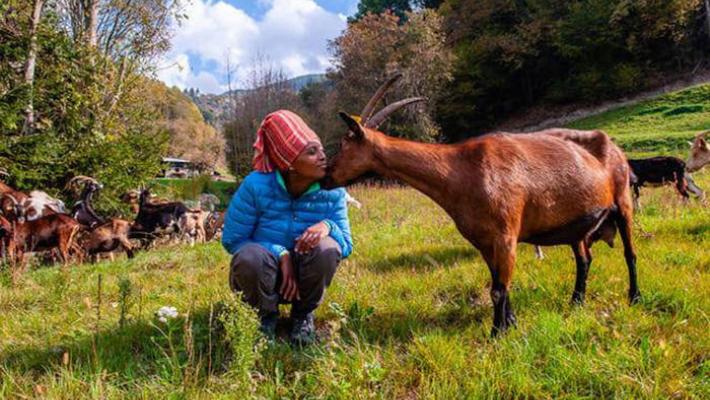 L'uccisione di Agitu Gudeta: un suo collaboratore confessa
