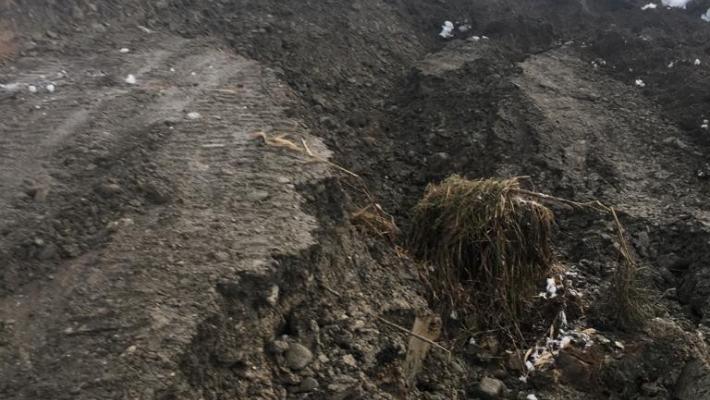 Frana una strada a Viazzano: 5 famiglie isolate