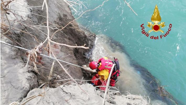 Cane nel Taro: salvato dai vigili del fuoco