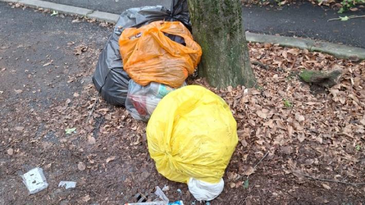 Il sindaco minaccia: &laquo;La raccolta rifiuti cos&igrave; non va. O Iren cambia registro o avvieremo azioni legali&raquo;