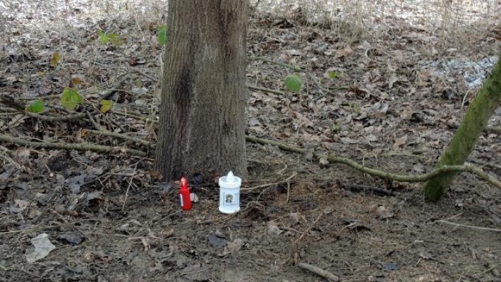 Resti umani, due &laquo;lumini&raquo; nel luogo del ritrovamento